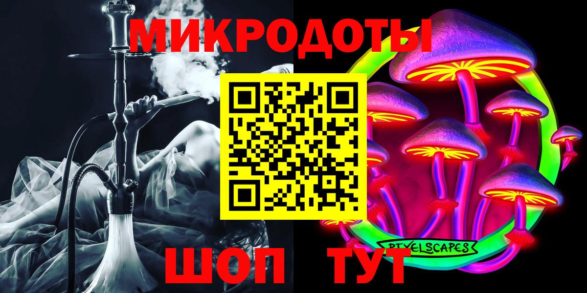 Камень-на-Оби  Псилоцибиновые грибы Magic Shrooms  даркнет сайт  Псилоцибиновые грибы мицелий  Вход с VPN 