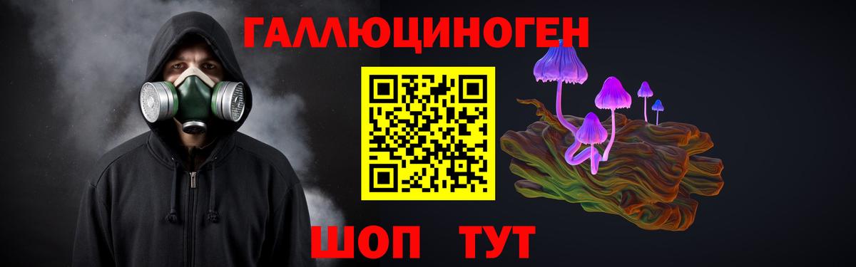 Псилоцибиновые грибы прущие грибы Камень-на-Оби